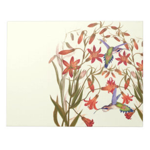 Kolibris Vögel Blumen Floral Wildtiere Notizblock