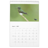 Kolibris von Ecuador-Kalender Kalender (Mär 2027)