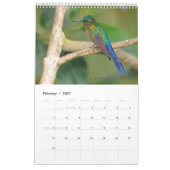 Kolibris von Ecuador-Kalender Kalender (Feb 2027)