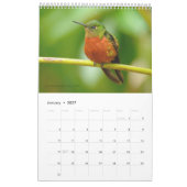 Kolibris von Ecuador-Kalender Kalender (Jan 2027)