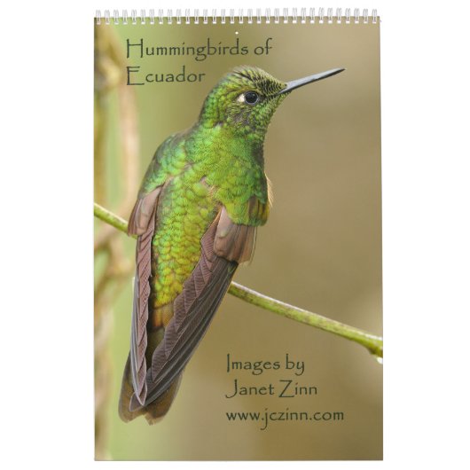Kolibris von Ecuador-Kalender Kalender (Titelbild)