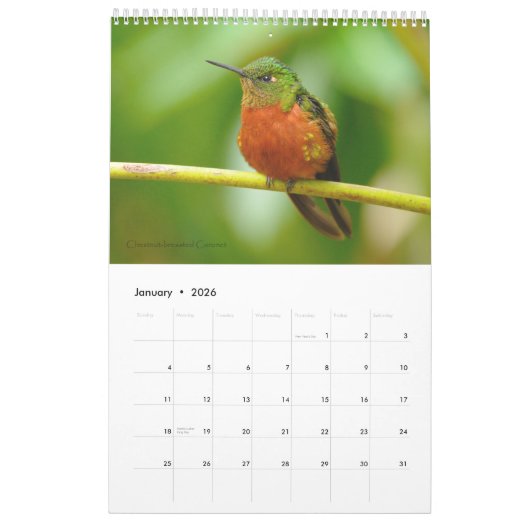 Kolibris von Ecuador-Kalender Kalender (Jan 2026)