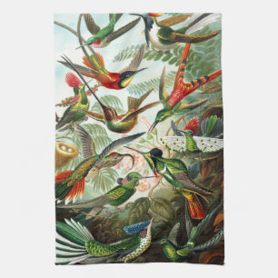 Kolibris von Ernst Haeckel Küchentuch