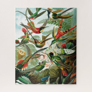 Kolibris von Ernst Haeckel Puzzle