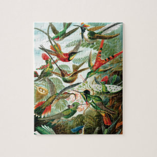 Kolibris von Ernst Haeckel Puzzle