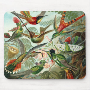 Kolibris von Ernst Haeckel, Vintage Vögel Bäume Mousepad