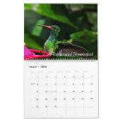 Kolibris von Kolumbien Kalender (Mär 2026)