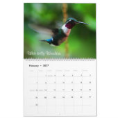 Kolibris von Kolumbien Kalender (Feb 2027)