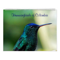 Kolibris von Kolumbien