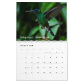 Kolibris von Kolumbien Kalender (Jan 2026)