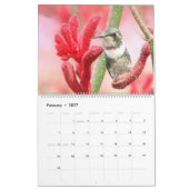 Kolibris von Kolumbien Kalender (Feb 2027)