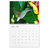 Kolibris von Kolumbien Kalender (Mär 2027)