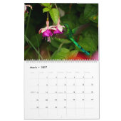 Kolibris von Kolumbien Kalender (Mär 2027)