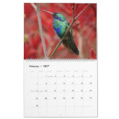Kolibris von Kolumbien Kalender (Feb 2027)