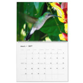 Kolibris von Kolumbien Kalender (Mär 2027)