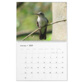 Kolibris von Kolumbien Kalender (Jan 2027)
