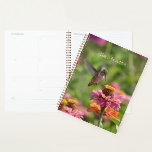 Kolibris Zinnien Blumen (meine Fotografie) Planer