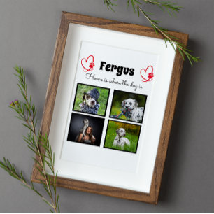 Kollage - Hunde-Foto personalisierte Erinnerung Fotoplatte
