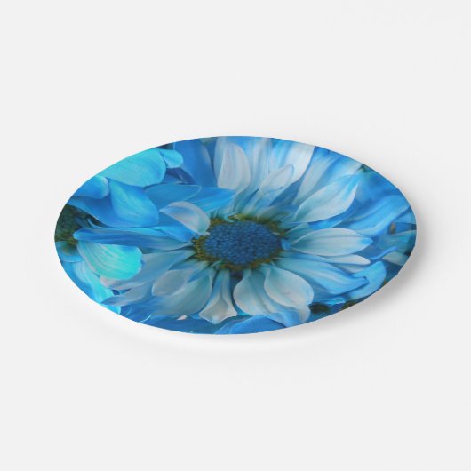 Kollage Pappteller (Schrägansicht)