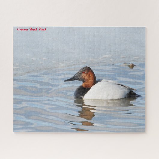 Kollbackente Puzzle (Horizontal)