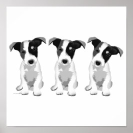 Kollektionsdesign Roseplatine® Poster