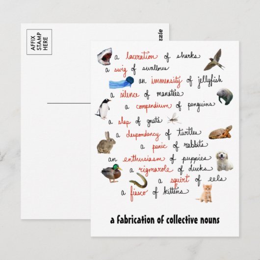 Kollektive Nouns: Postkarten (Vorne/Hinten)