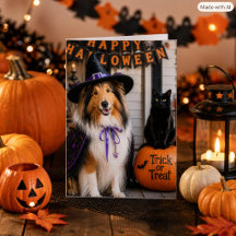Kollie-Hexen-Zauber & Katzentrick-or-Treat-Faltkar