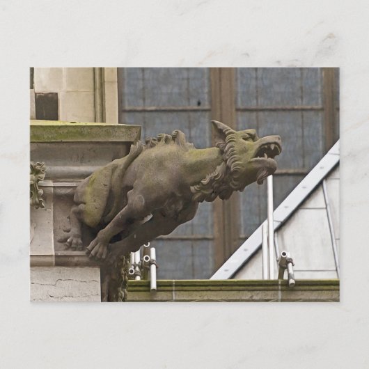 Köln # 19 postkarte (Vorderseite)