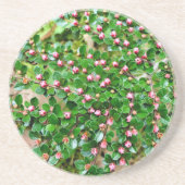 Kölner Horizontalis Getränkeuntersetzer (Vorne)