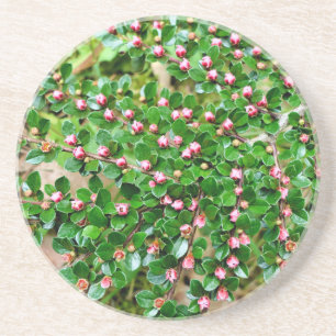 Kölner Horizontalis Getränkeuntersetzer