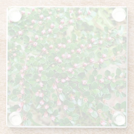 Kölner Horizontalis Glasuntersetzer (Rückseite)