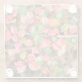 Kölner Horizontalis Glasuntersetzer (Rückseite)