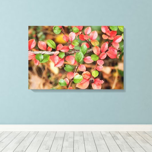 Kölner Horizontalis Leinwanddruck (Insitu (Holzboden))