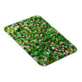 Kölner Horizontalis Magnet (Rechte Seite)