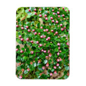 Kölner Horizontalis Magnet (Vertikal)