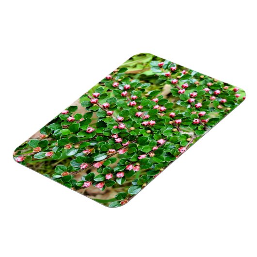 Kölner Horizontalis Magnet (Linke Seite)