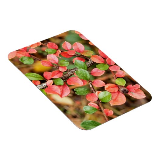 Kölner Horizontalis Magnet (Rechte Seite)