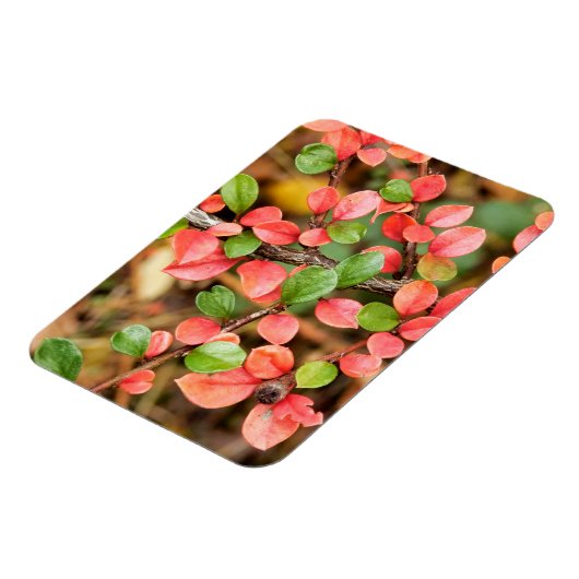 Kölner Horizontalis Magnet (Linke Seite)