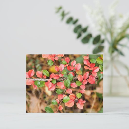 Kölner Horizontalis Postkarte (Stehend Vorderseite)