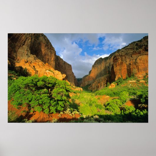 Kolob Canyon im Zion Canyon im Zion National Poster (Vorne)