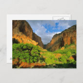 Kolob Canyon im Zion Canyon im Zion National Postkarte (Vorne/Hinten)