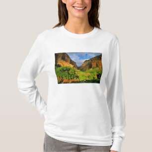 Kolob Canyon im Zion Canyon im Zion National T-Shirt