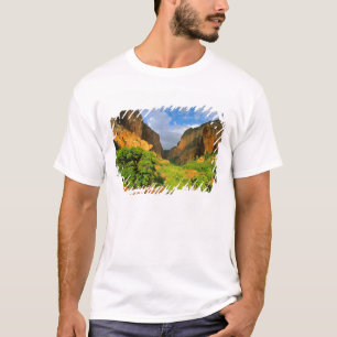 Kolob Canyon im Zion Canyon im Zion National T-Shirt
