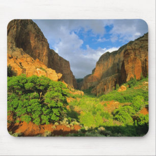 Kolob Canyon in Zion Canyon, Zion National Mousepad