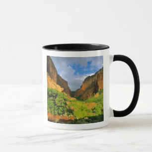 Kolob Canyon in Zion Canyon, Zion National Tasse