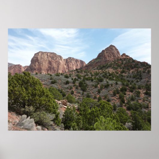Kolob Canyons im Zion-Nationalpark Poster (Vorne)