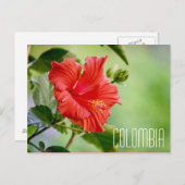 Kolombia Hibiskus Blume Postkarte (Vorne/Hinten)