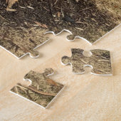 Kolonial Williamsburg 1000+ Puzzle (Seite)