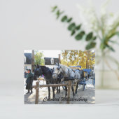 Kolonial Williamsburg Postkarte (Stehend Vorderseite)