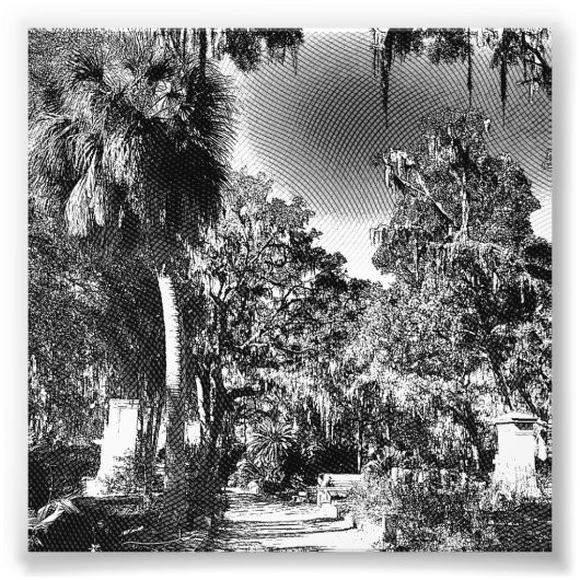 Kolonialer Friedhof Fotodruck (Vorne)